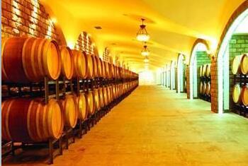 SAP winemaking success case | Huadong Wine
