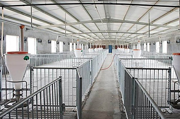 SAP Livestock Processing Success Cases | Yilian Machinery
