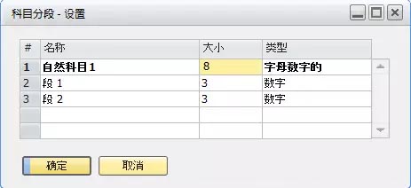 SAP科目分段设置