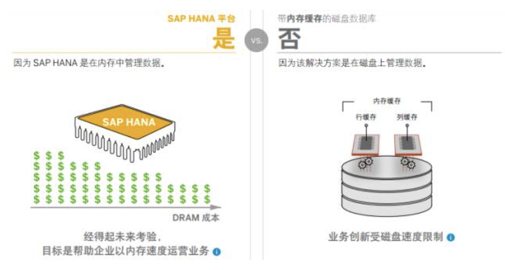 SAP HANAN数据存属系统