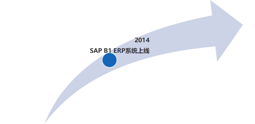 SAP厨电制造ERP成功案例
