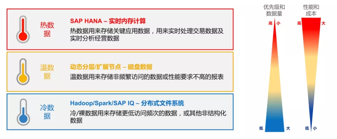 SAP HANA分类存储数据