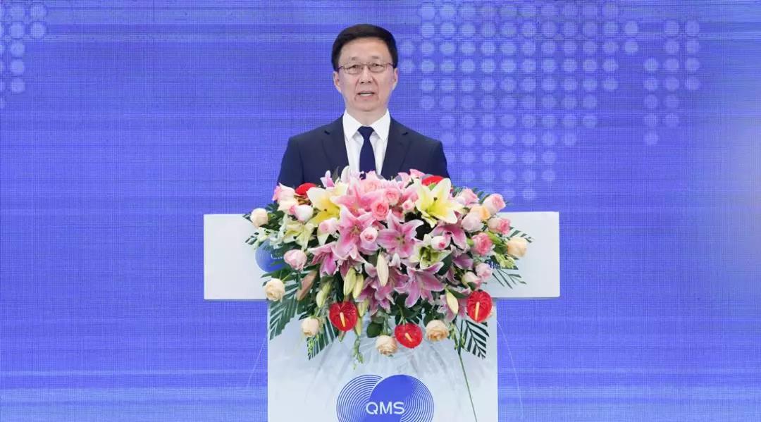 中共中央政治局常委、国务院副总理韩正发言