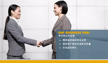 SAP Business One库存和业务运营